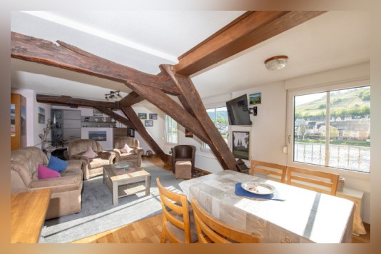 Apartment Anton - Haus Moselwelt